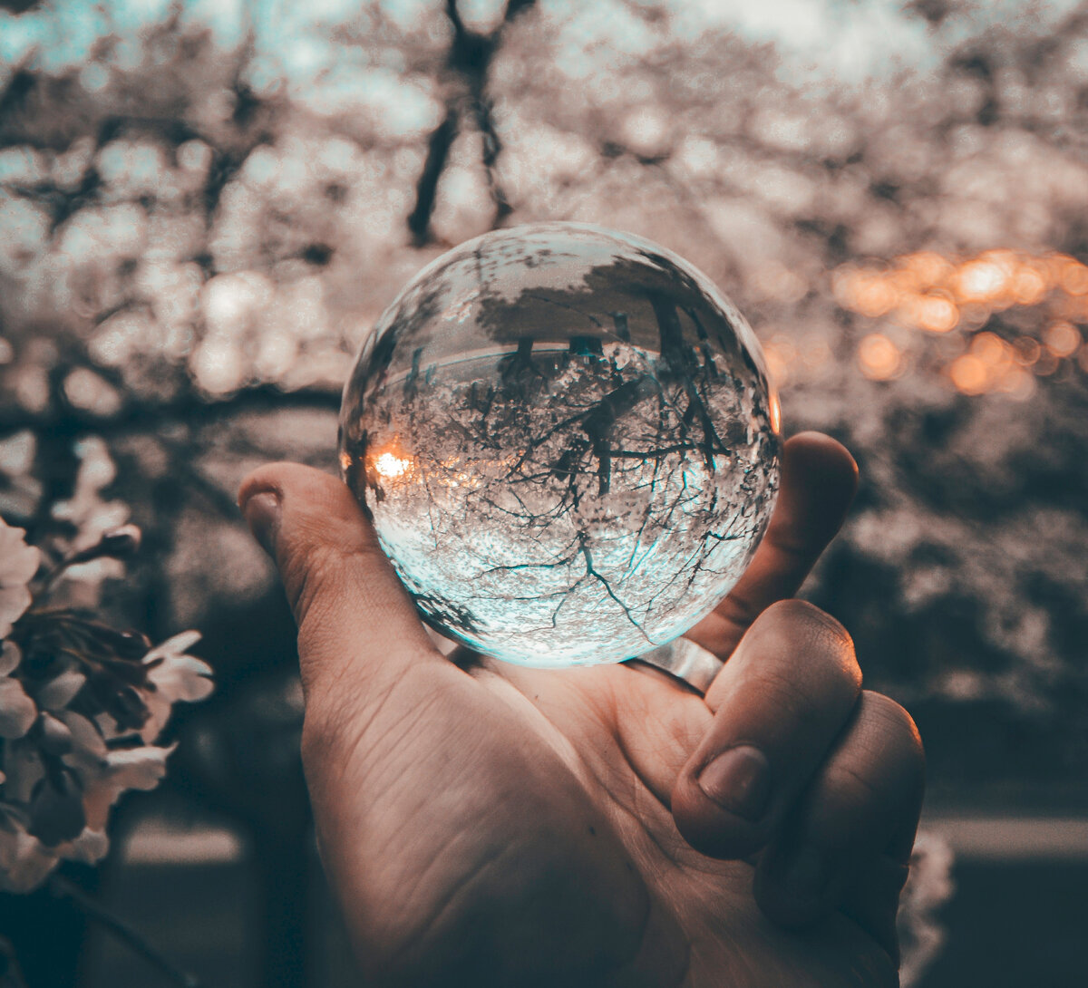 Фото: Unsplash