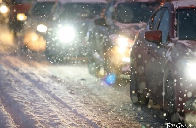    Снегопад Дарья Драй © ИА REGNUM