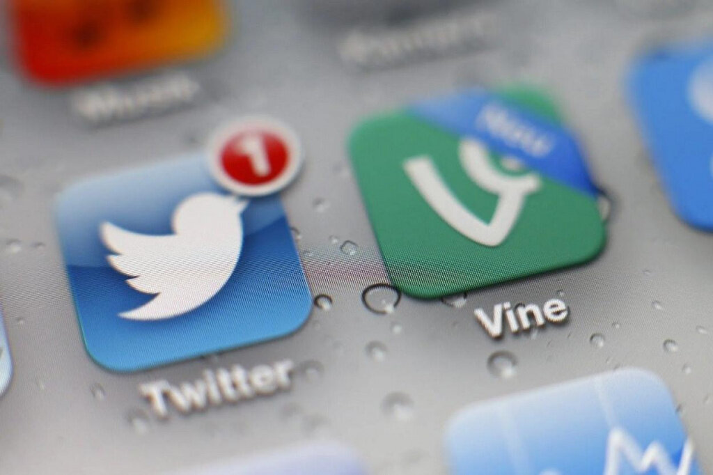    Vine