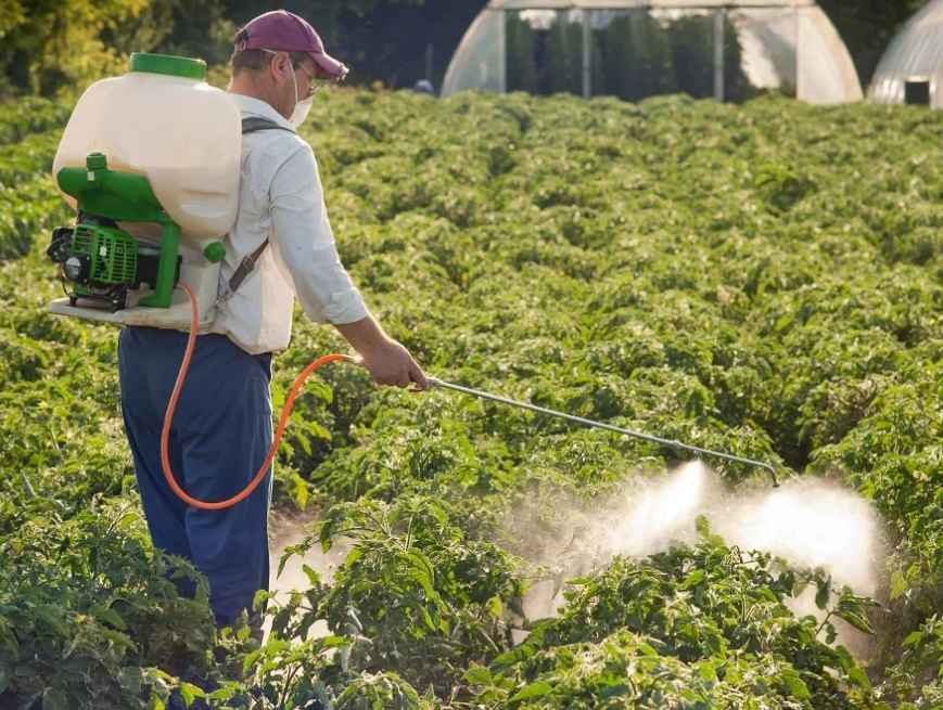 Фотография взята из источника sovet.boltai.com