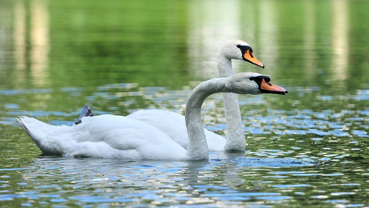    Фото: Сергей Киселев / АГН Москва