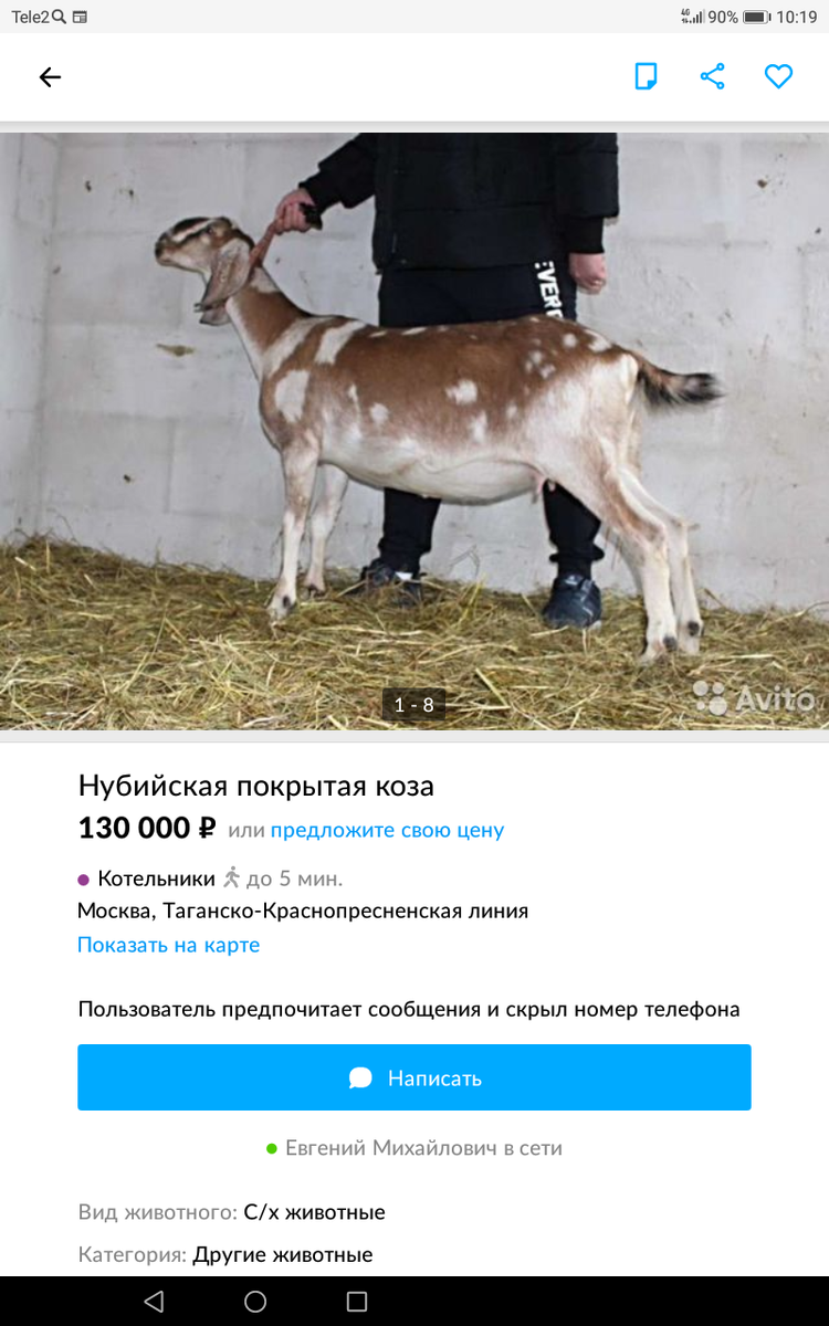 Фото никакого отношения к статье не имеет! 