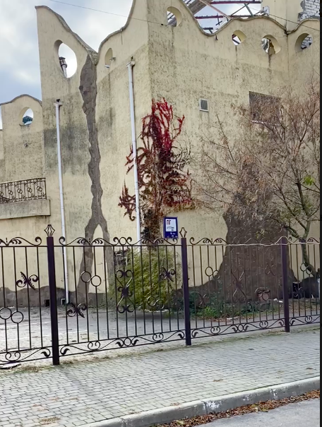 Скришот из видео Алексея Живова