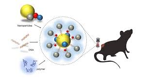 Принцип работы наноконтейнера