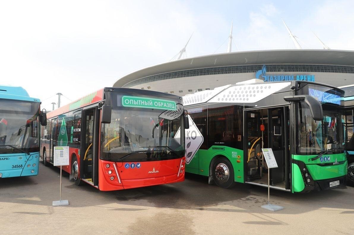 Первая презентация "антисанкционного" автобуса МАЗ-203 (в центре) в Санкт-Петербурге весной текущего года