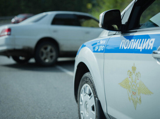     фото УМВД по Забайкальскому краю