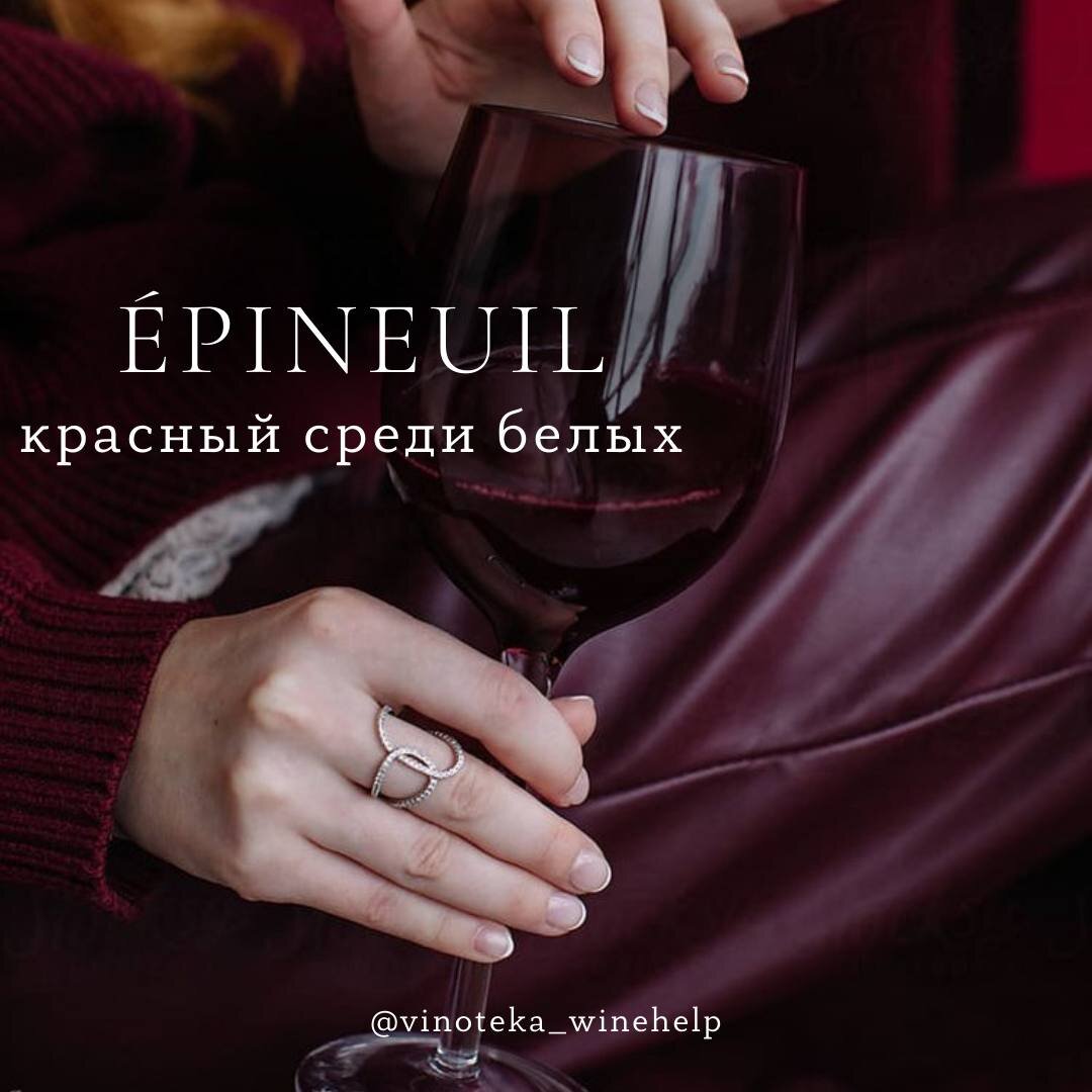 Вино из этого региона сравнимо с невесомым «крылом ангела»☺️. Его текстура отмечена гладкими, бархатистыми танинами. ⠀
🍇Пино Нуар…
Его ароматы состоят из красных фруктов (клубника, вишня и крыжовник) и черных фруктов (ежевика, черника, черная смородина), перемежающихся нотами перца.
⠀
Розовое вино этого региона производится из сортов винограда Пино Нуар или Пино Гри🍇. Эпиней давно известен свежестью и мягкостью розового вина.
⠀
🧐Но почему мы так мало о нем знаем?
⠀
🗻Регион Тоннерруа находится на юге Йонны недалеко от Шабли. Одна из его коммун, Эпиней (дом Альфреда Гревена, основателя парижского музея восковых фигур, носящего его имя), в 1993 году получила официальное право идентифицировать свои вина по имени в рамках общего наименования Бургундия для красных и розовых вин.
⠀
Здесь аббатства Сен-Мишель и Куинси производят вина, репутация которых восходит к глубокому Средневековью🛡. Долгое время они снабжали Париж вином🥂.
⠀
Изначально виноград шёл только на производство креманов🍾.
⠀
🍇Виноградники были уничтожены филлоксерой, но с конца 1970-х годов они вернулись к жизни благодаря строгому отбору терруаров и сортов винограда.
⠀
Возрождение охватило все 9 коммун района Тоннерруа, и недавно они объединились под названием Bourgogne Tonnerre.
⠀
🏔Почвы, полные белой гальки, напоминают почвы близлежащего региона Шабли (кимериджские или связанные с ними известняки) и обладают определенными качествами. Там, где виноградники разбиты на долины, лозы защищены от холодных ветров плато Лангр и пожинают плоды благоприятного микроклимата☺️.