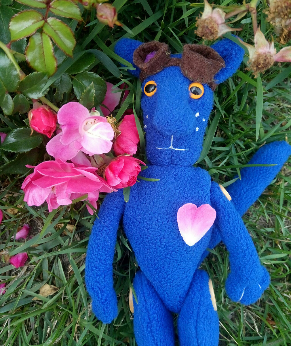 флисовые коты