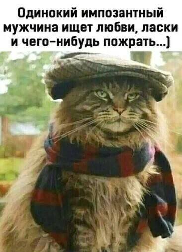 иллюстрация из яндекс картинки.