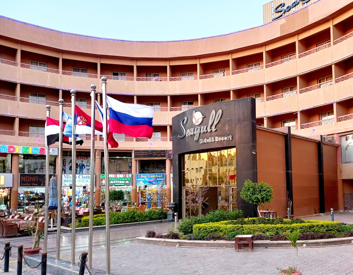 Отель Seagull Resort 4*. Хургада. Египет.