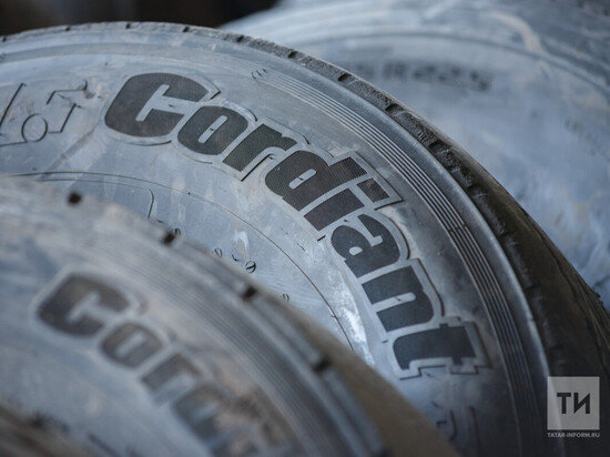     Фото: ИА "Татар-информ"