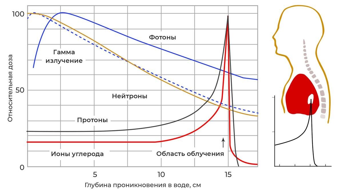    Пик БрэггаCC0 / ИЯИ РАН /