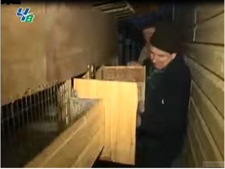 Равиль с участка №12 показывает  разрушения в своем добротно построенном крольчатнике.