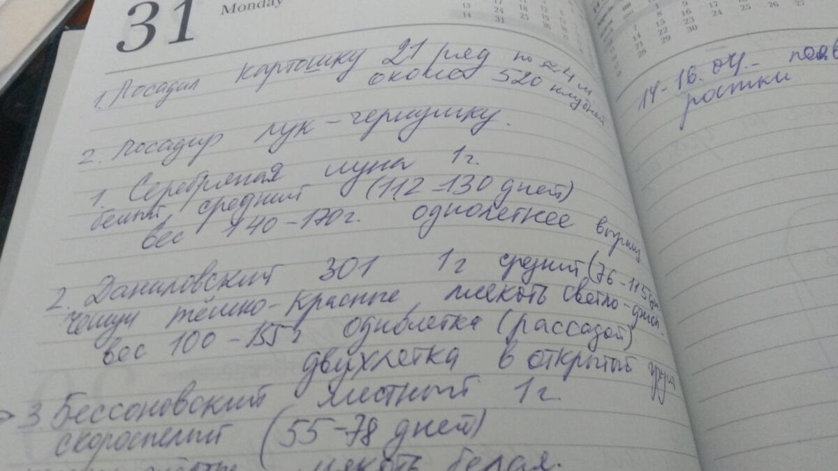 Дневник садовода-огородника. Чепуха или полезная вещь? | Вершки и корешки |  Дзен