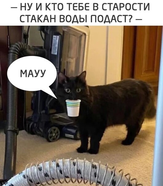 Кот с водой мем
