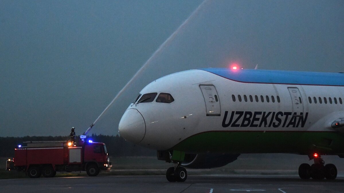    Встреча первого рейса Uzbekistan Airways в аэропорту Домодедово© РИА Новости . Кирилл Каллиников