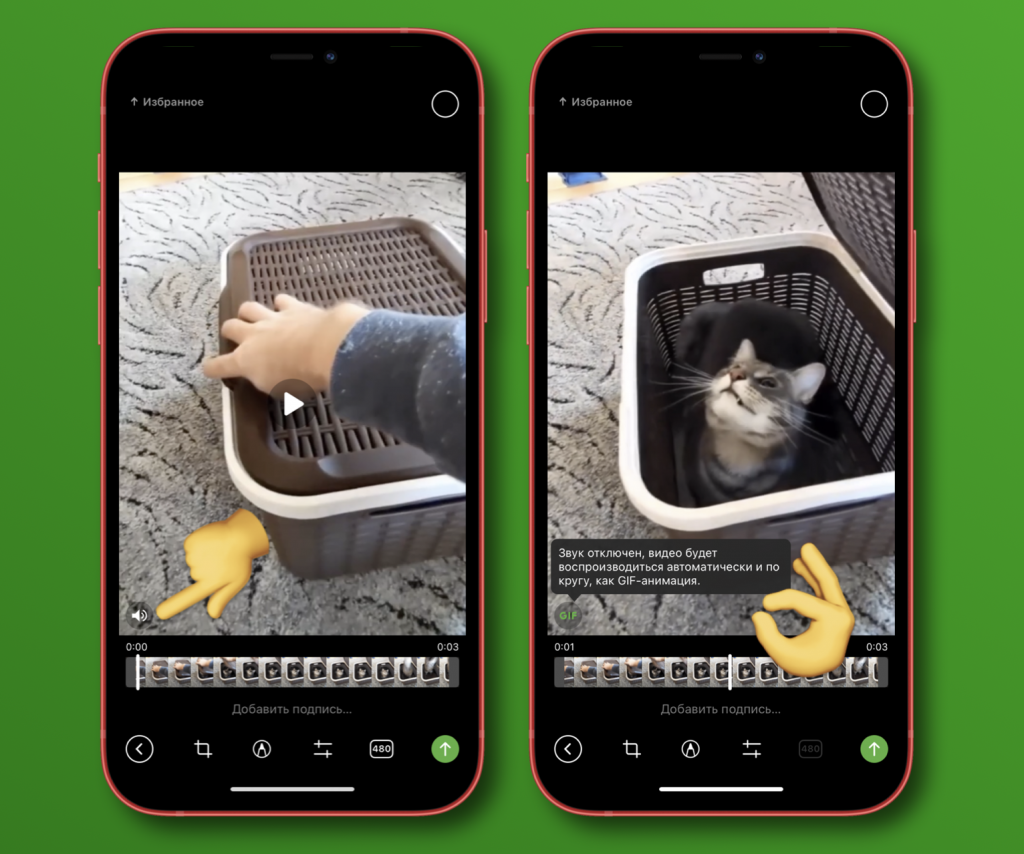 Как сделать уникальные гифки для Telegram из роликов YouTube Shorts прямо  со смартфона | iGuides.ru | Дзен
