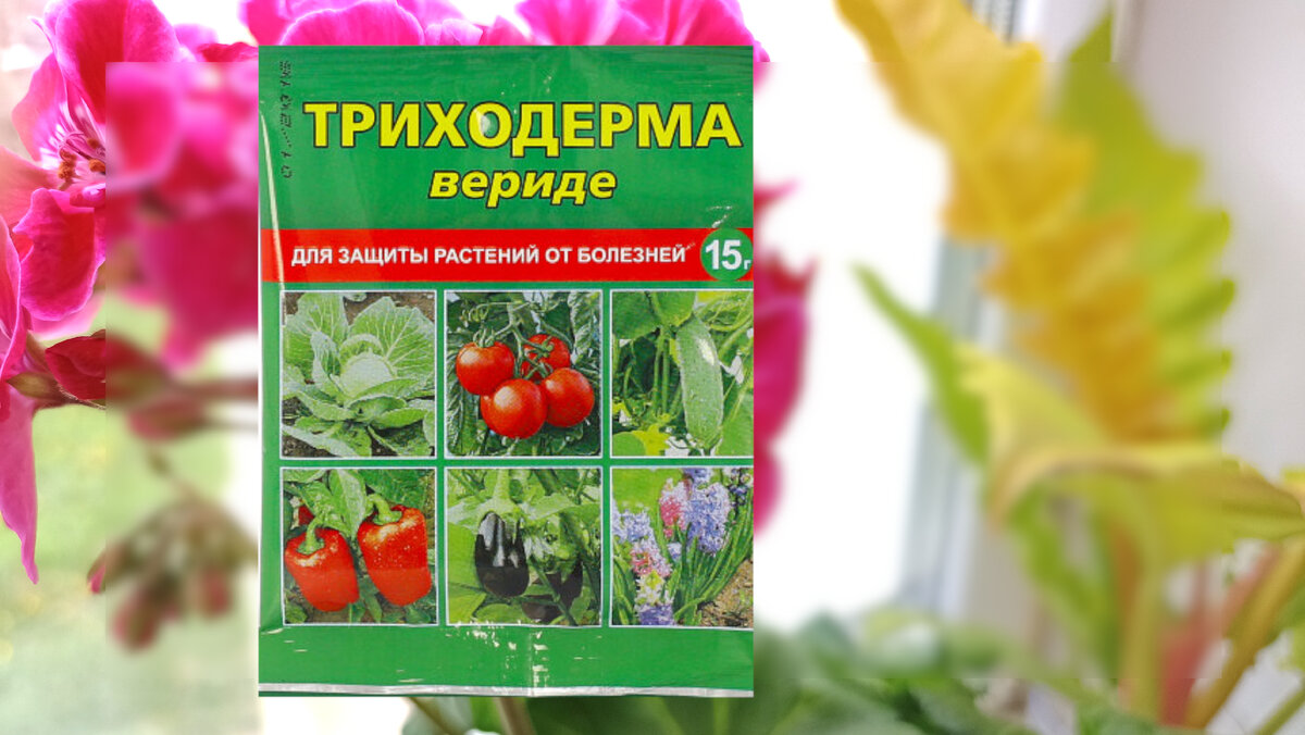 ������ ����� � ����� ������ ������ ������� ����������. ��-��, ��� ��� ������ � ������ � ���������. ���� ������ ��������, ��������� �������� �� �������� ������.-7-2