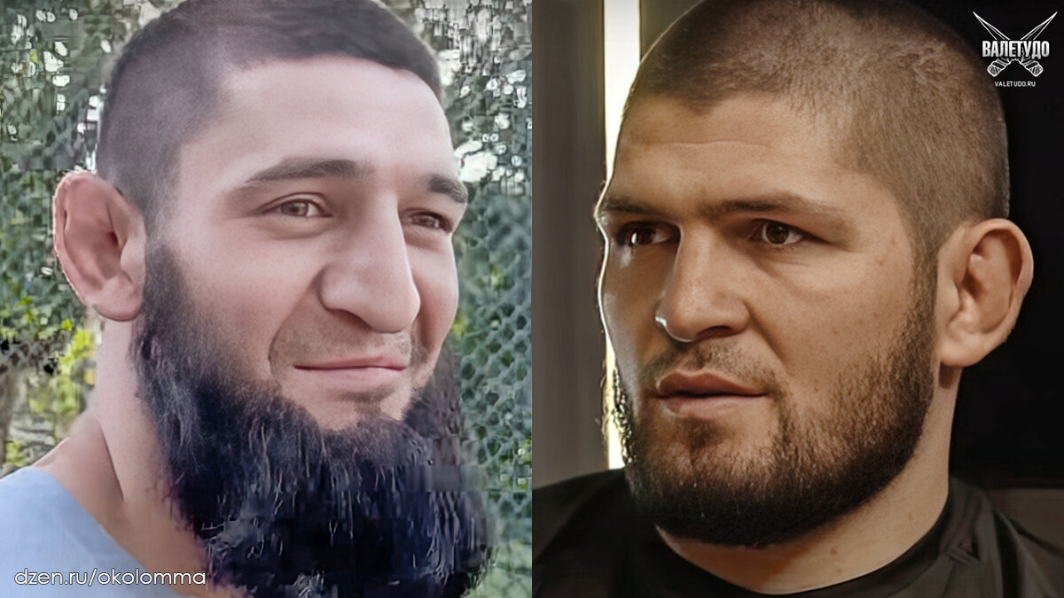 Хамзат Чимаев и хабибнурмагомедов | valetudo.ru