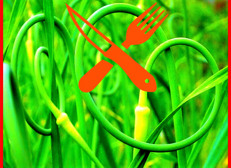 Обложка для статьи со стрелками чеснока 