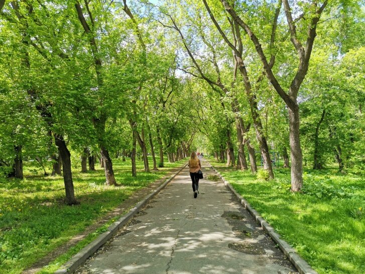 Фото: Даниил Румянцев / E1.RU / Как выглядит парк на данный момент