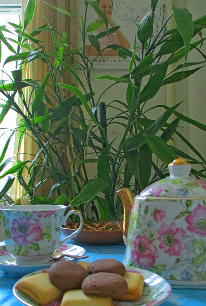 Дома мой бамбук стал украшением чайного столика. Фото: "Женщина после 50"