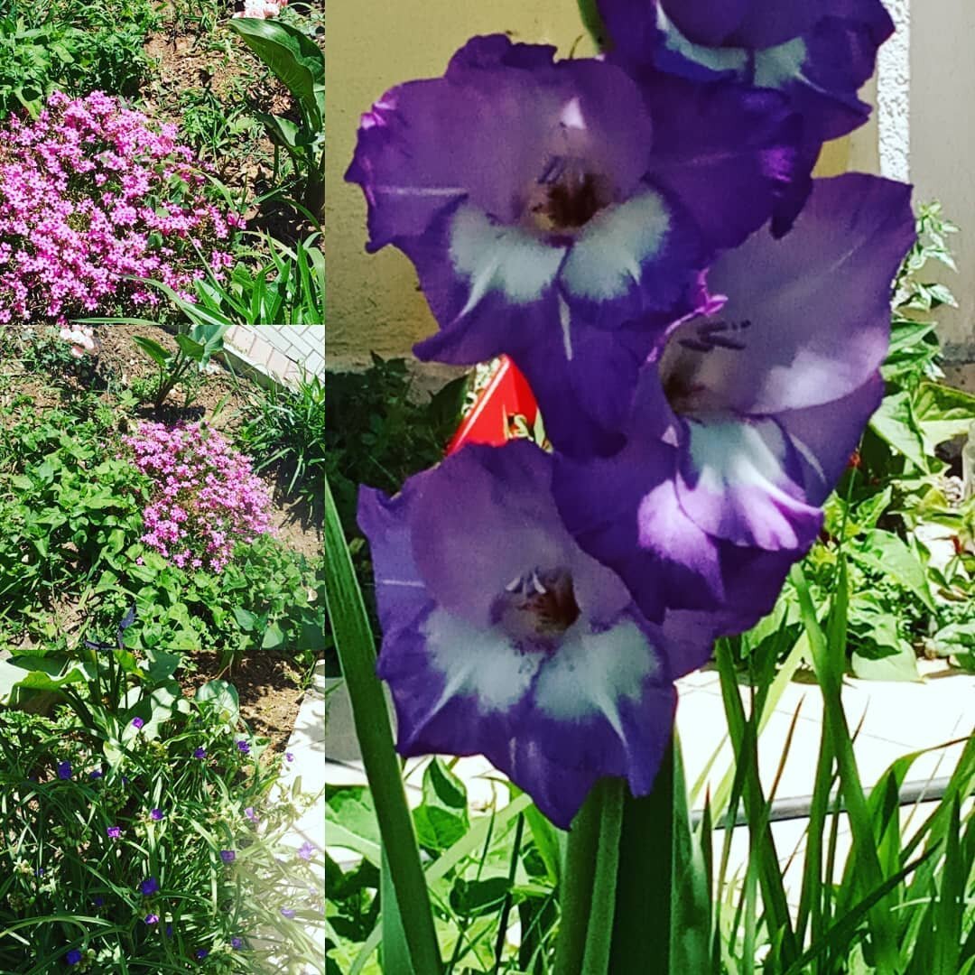 Дворик в Черногории