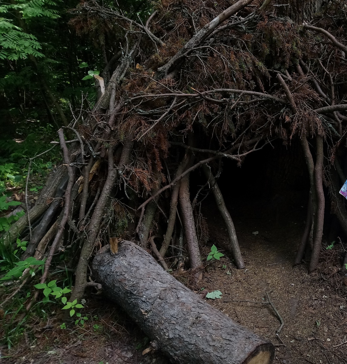 Вот он, шалаш