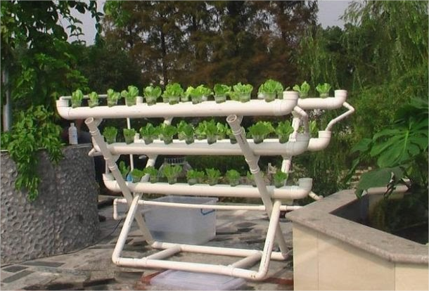 Клумба на даче своими руками - Азбука садовода