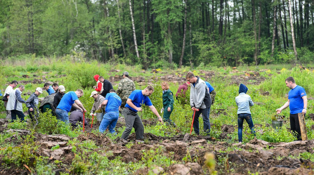 В честь Дня семьи, любви и верности россиянам предлагают посадить деревья по всей стране, не выходя из дома. В этот семейный праздник можно сделать друг другу символичный и экологичный подарок - движение "ЭКА" приглашает поучаствовать в акции всех желающих.