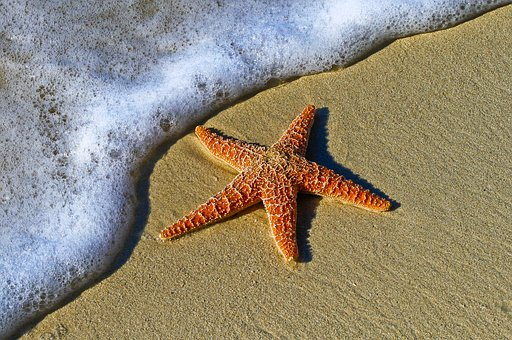 Источник: Pixabay