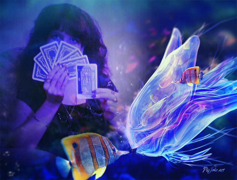 Прогноз общий. Для индивидуальных консультаций пишите: assenatas@mail.ru
