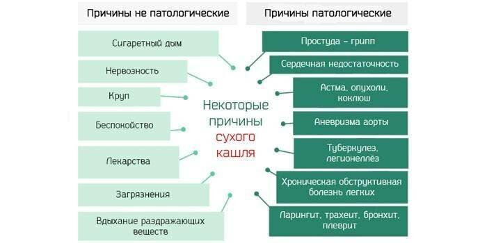 Кашель на сегодняшний день является одной из главных причин обращения к врачу, как у взослых пациентов, так и у детей.