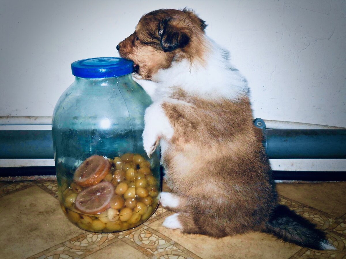 Приплюсовать издержки на шкоду)
