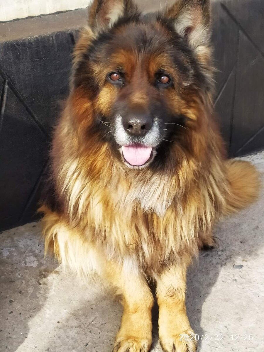 Фото из открытого источника