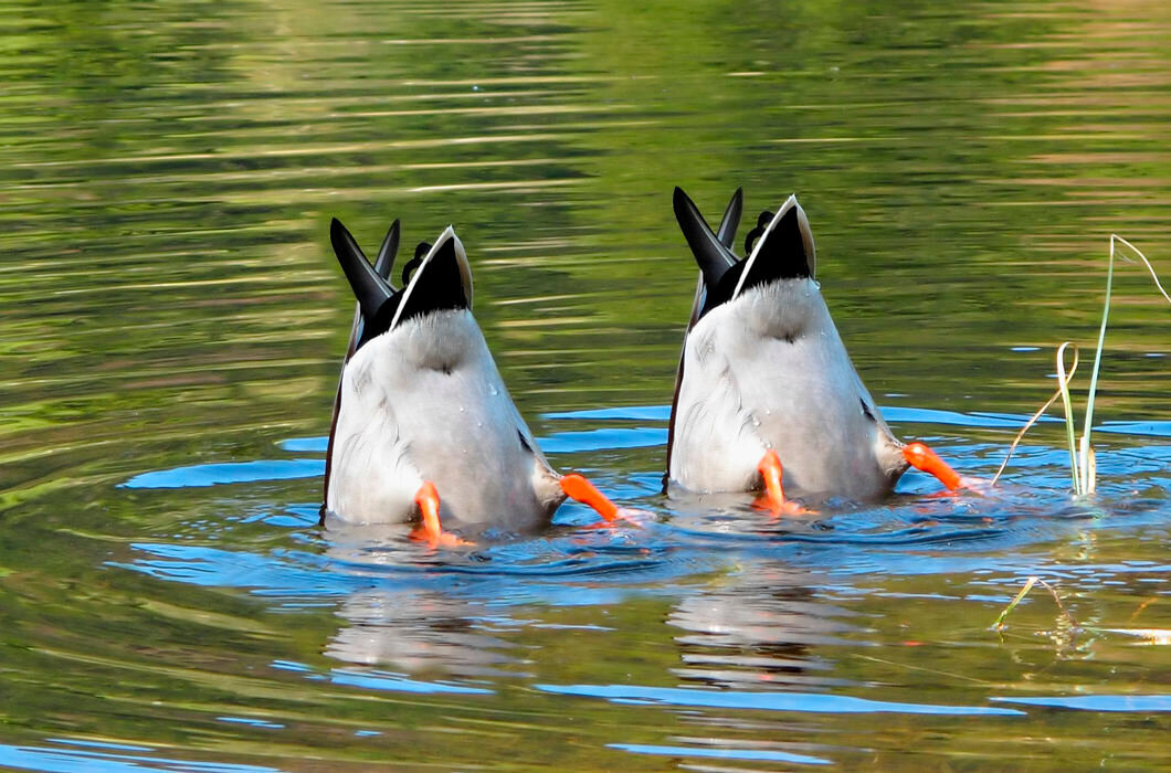 где-то здесь есть прибыль