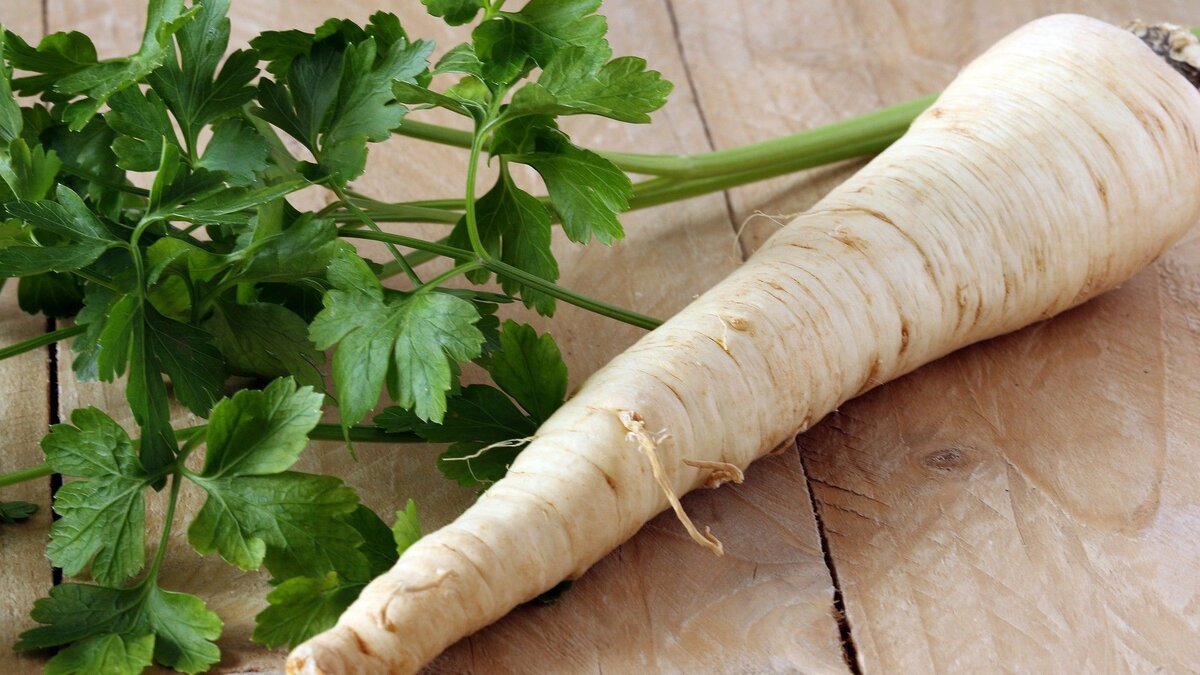 Растение хрен                                                                                                                            яндекс картинка