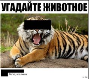 Да вы чо это же экскалатор!