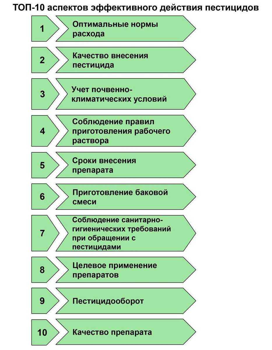 Сохранить урожай и насекомых-опылителей. Часть 3: Классификация  неподдельного качества | ГлавАгроном | Дзен