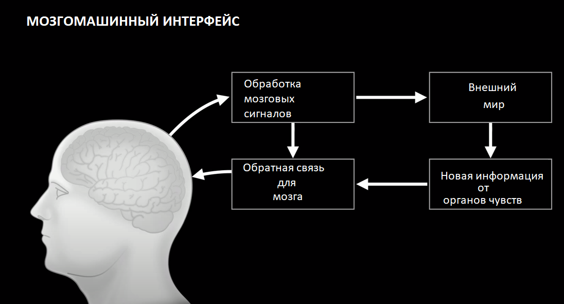 Из презентации Neuralink https://www.youtube.com/watch?v=r-vbh3t7WVI
