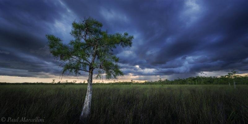 Big Cypress