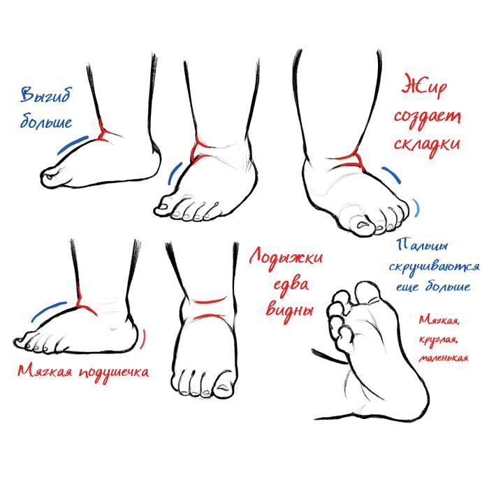 Ноги ребенка 1 год. Строение детской стопы. Формирование стопы у ребенка. Правильная стопа у ребенка в год.