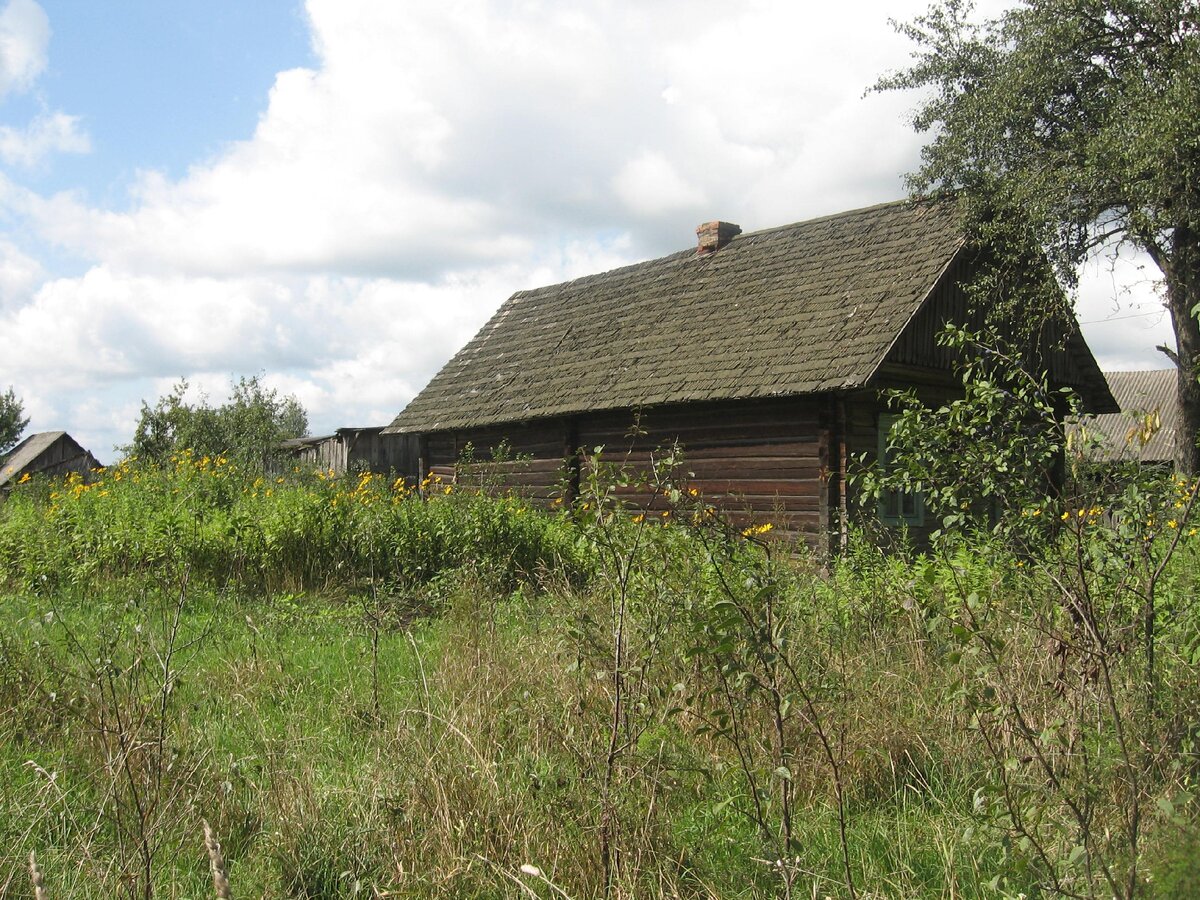 Беларусь. Крестьянский дом начало 20 век. 