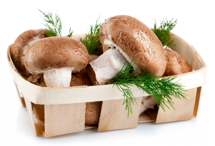 Фотография взята из источника yandex.ru