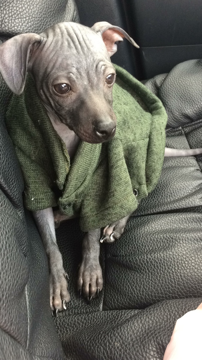 Дьявол ходит сред нас, он принимает разные обличия 