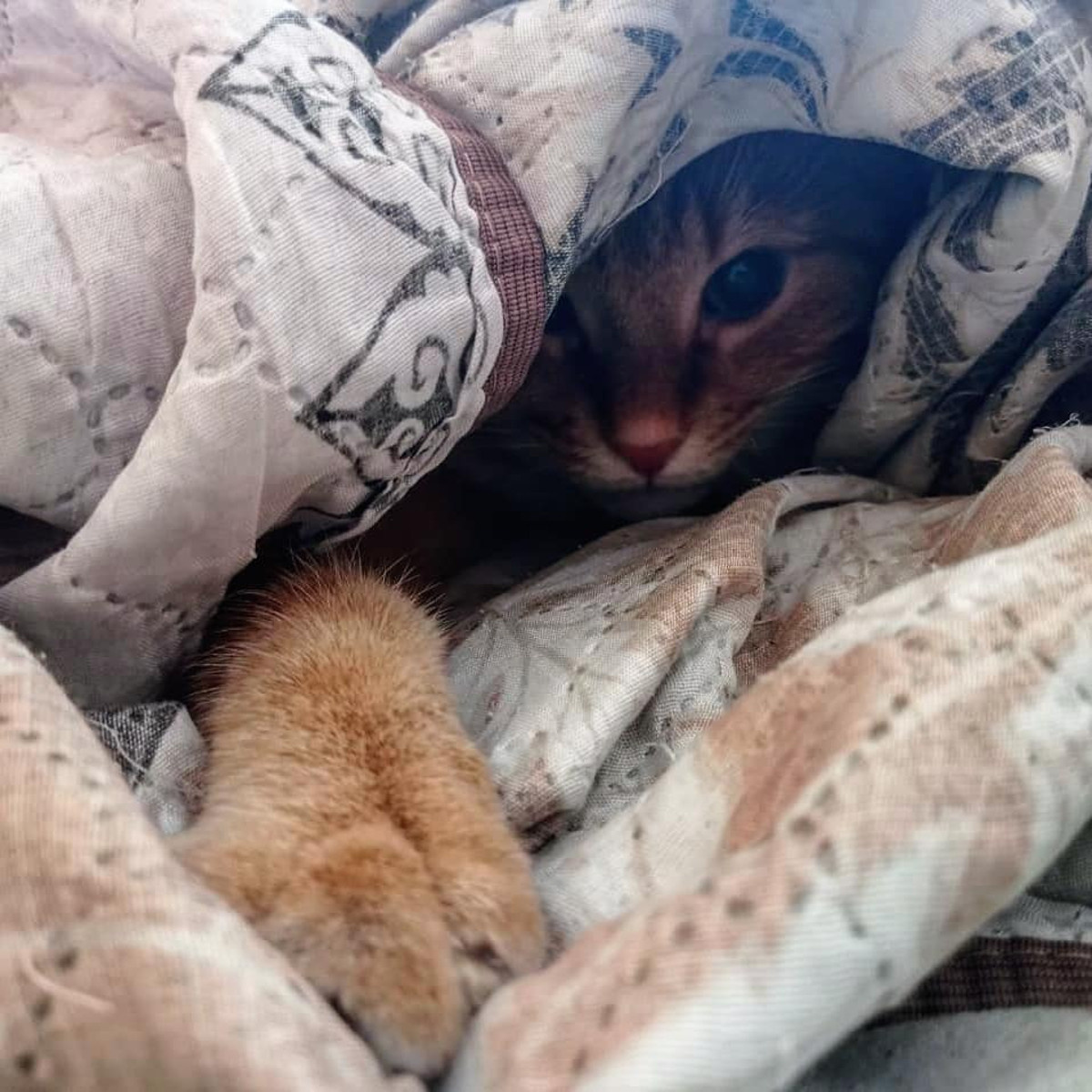 ttps://www.instagram.com/_alena._a._