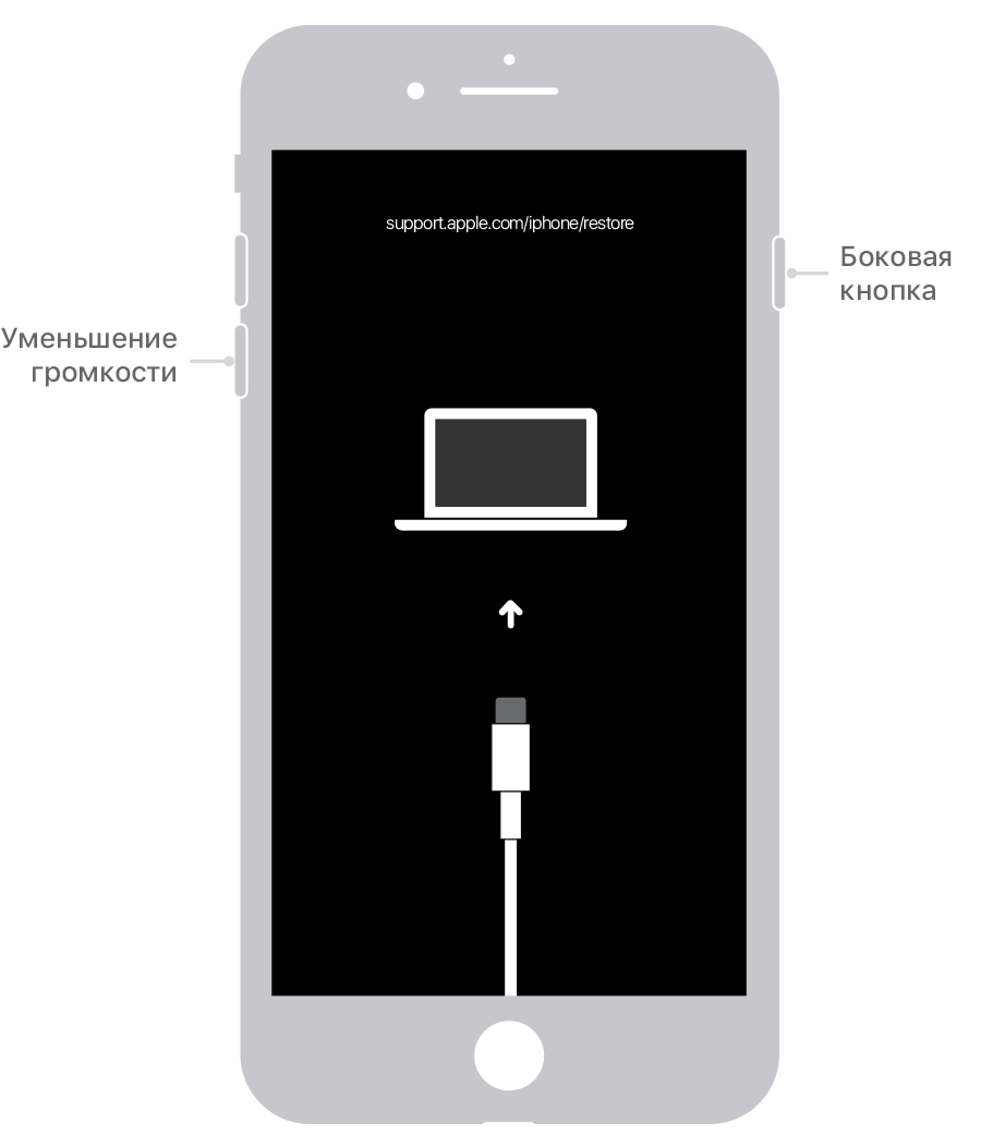 Что делать, если забыл пароль от Apple ID?