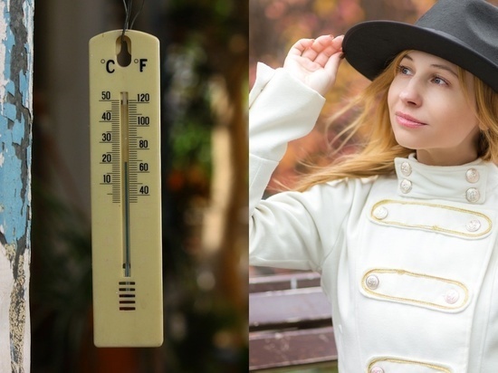 Фото - pixabay.com