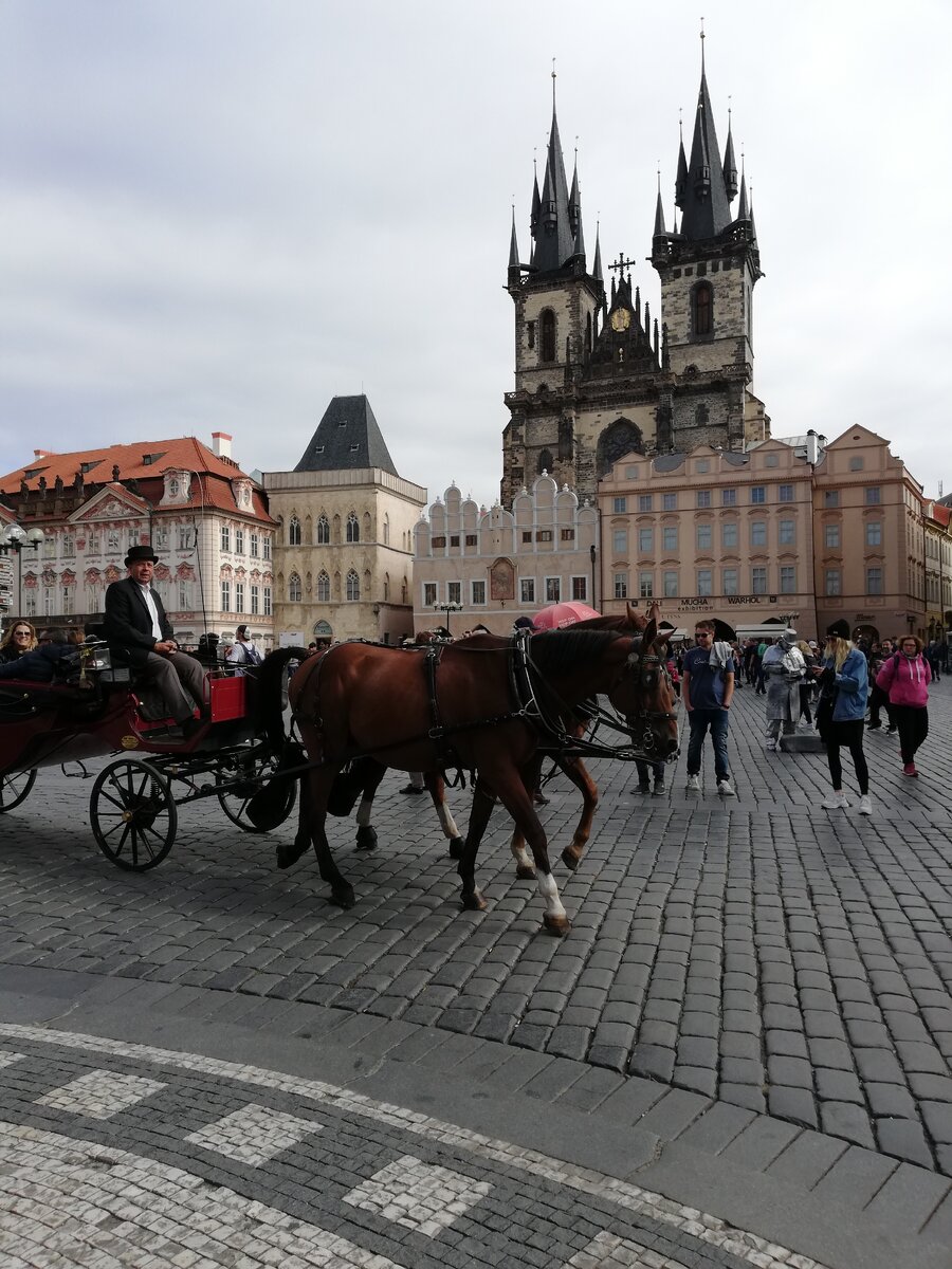 Старомак. Фото автора