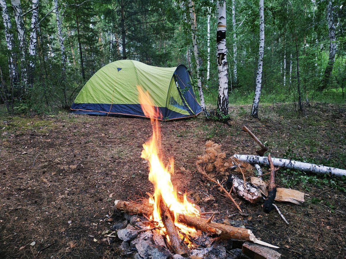 Доброго здравия, читатель!